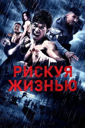 Рискуя жизнью  онлайн